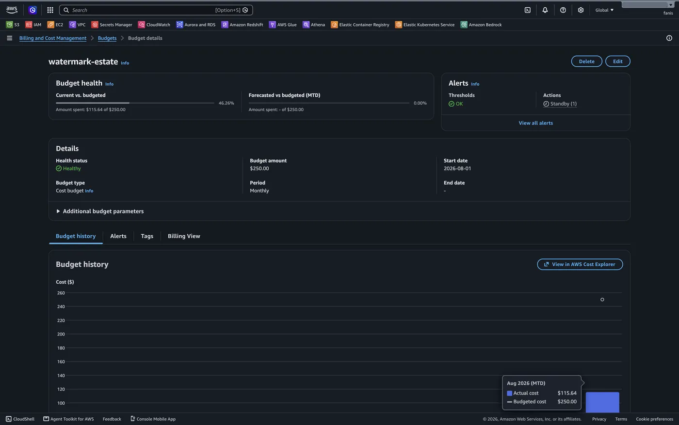 The project's AWS budget: $115.64 of a $250.00 monthly ceiling at 46.26%, with a budget action in Standby that attaches a deny-all policy to the deploy role at 100%